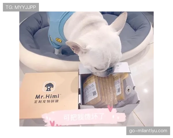 贝林厄姆家冰箱里塞满蛋白粉，连狗粮都是定制的